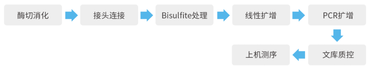 pic image.png